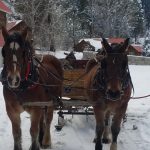 Lowman ID sleigh rides