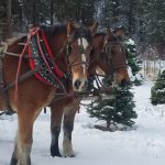 Lowman ID sleigh rides